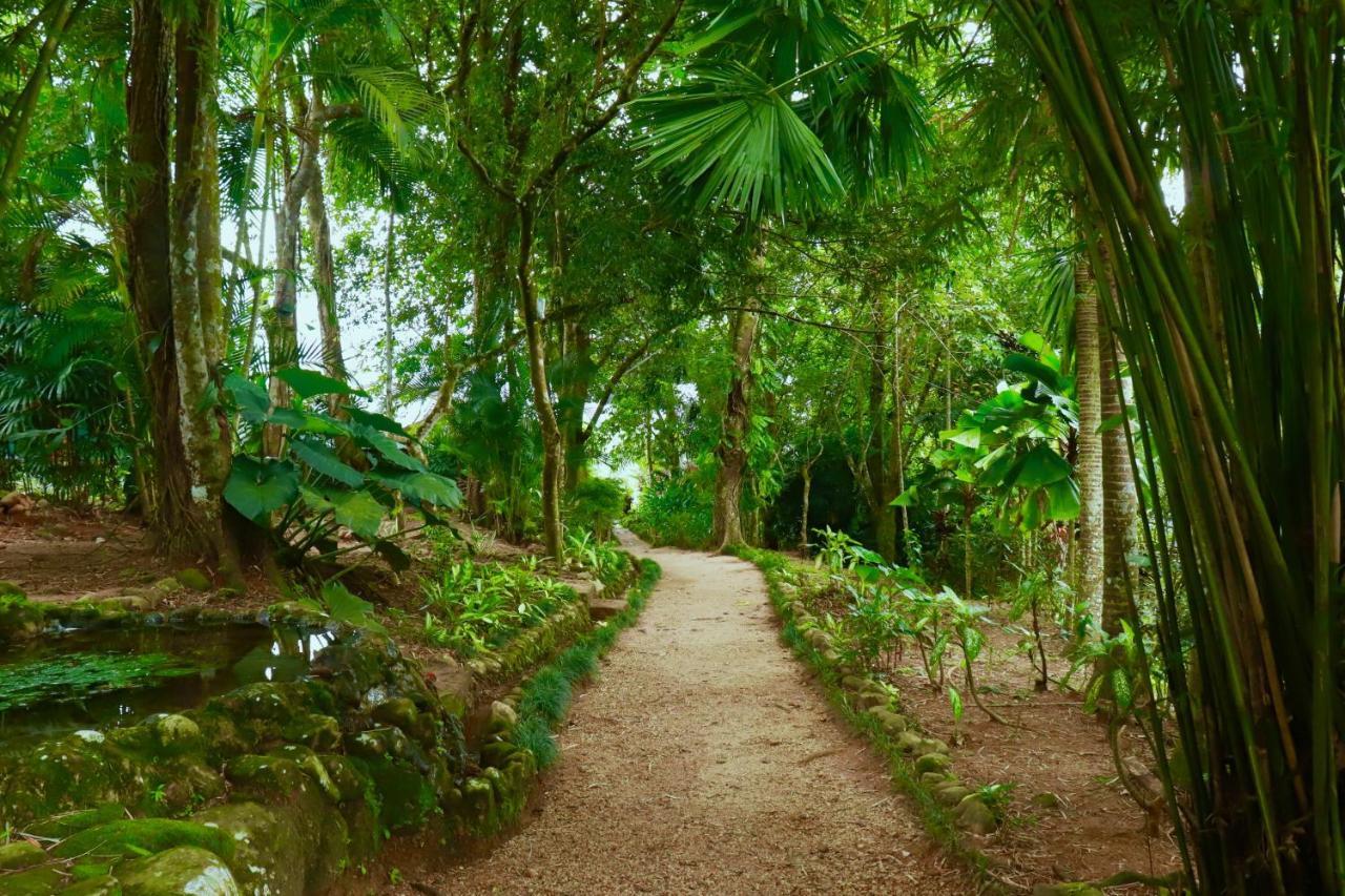 Paradise Eco Garden Kitulgala Extérieur photo