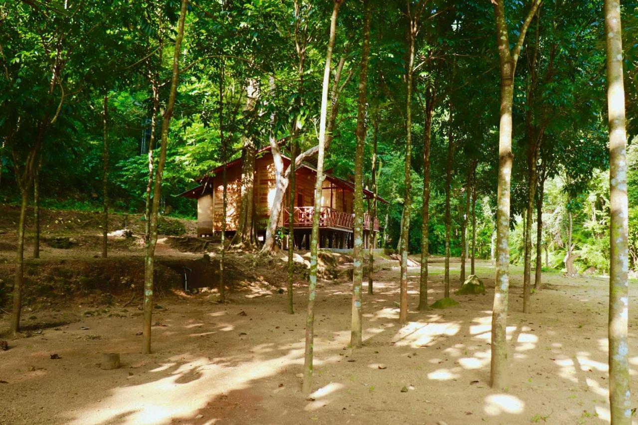Paradise Eco Garden Kitulgala Extérieur photo