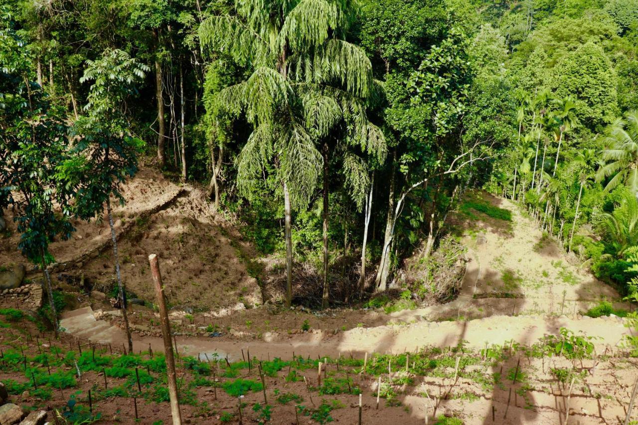 Paradise Eco Garden Kitulgala Extérieur photo