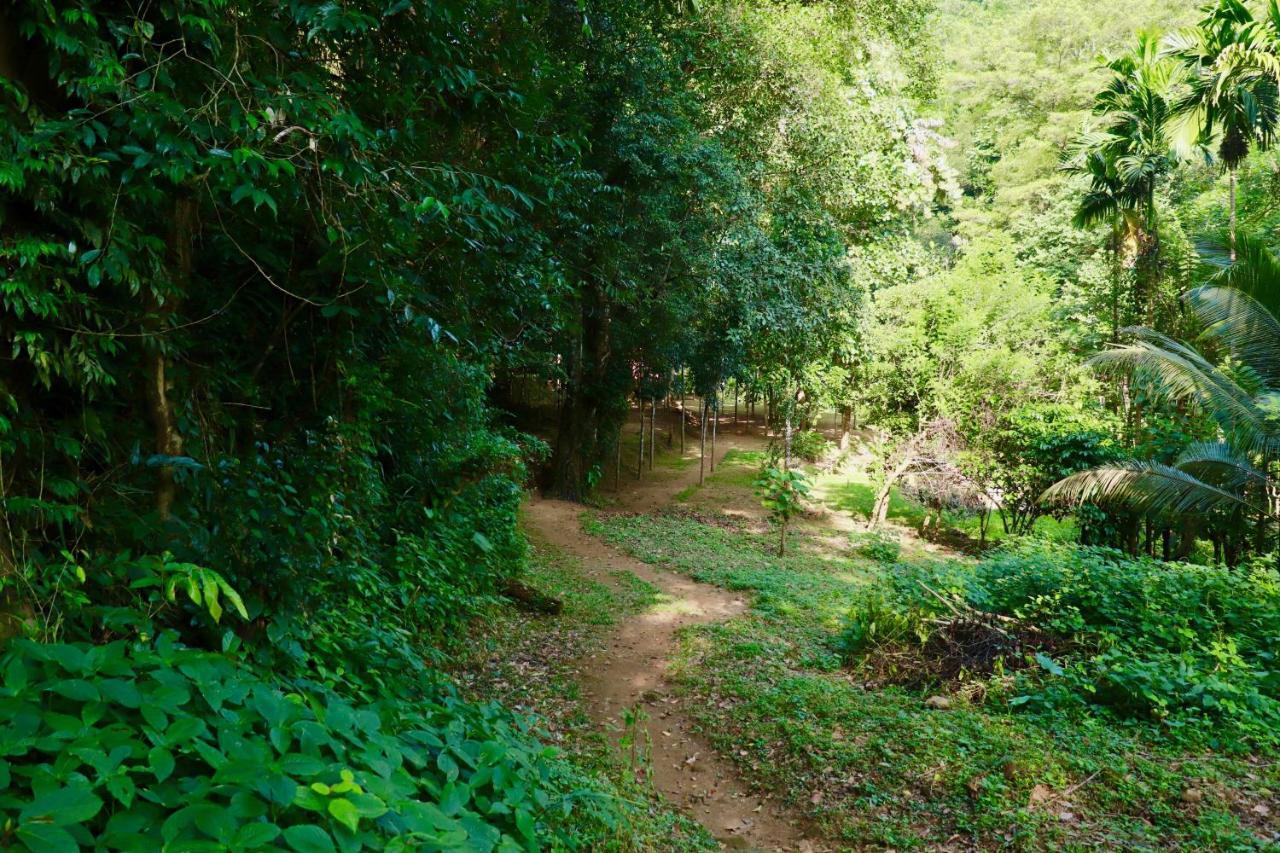 Paradise Eco Garden Kitulgala Extérieur photo