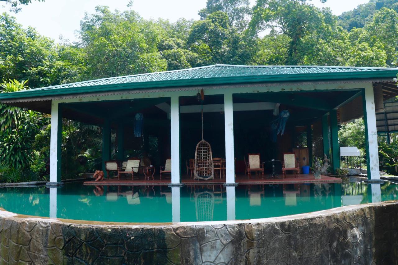 Paradise Eco Garden Kitulgala Extérieur photo