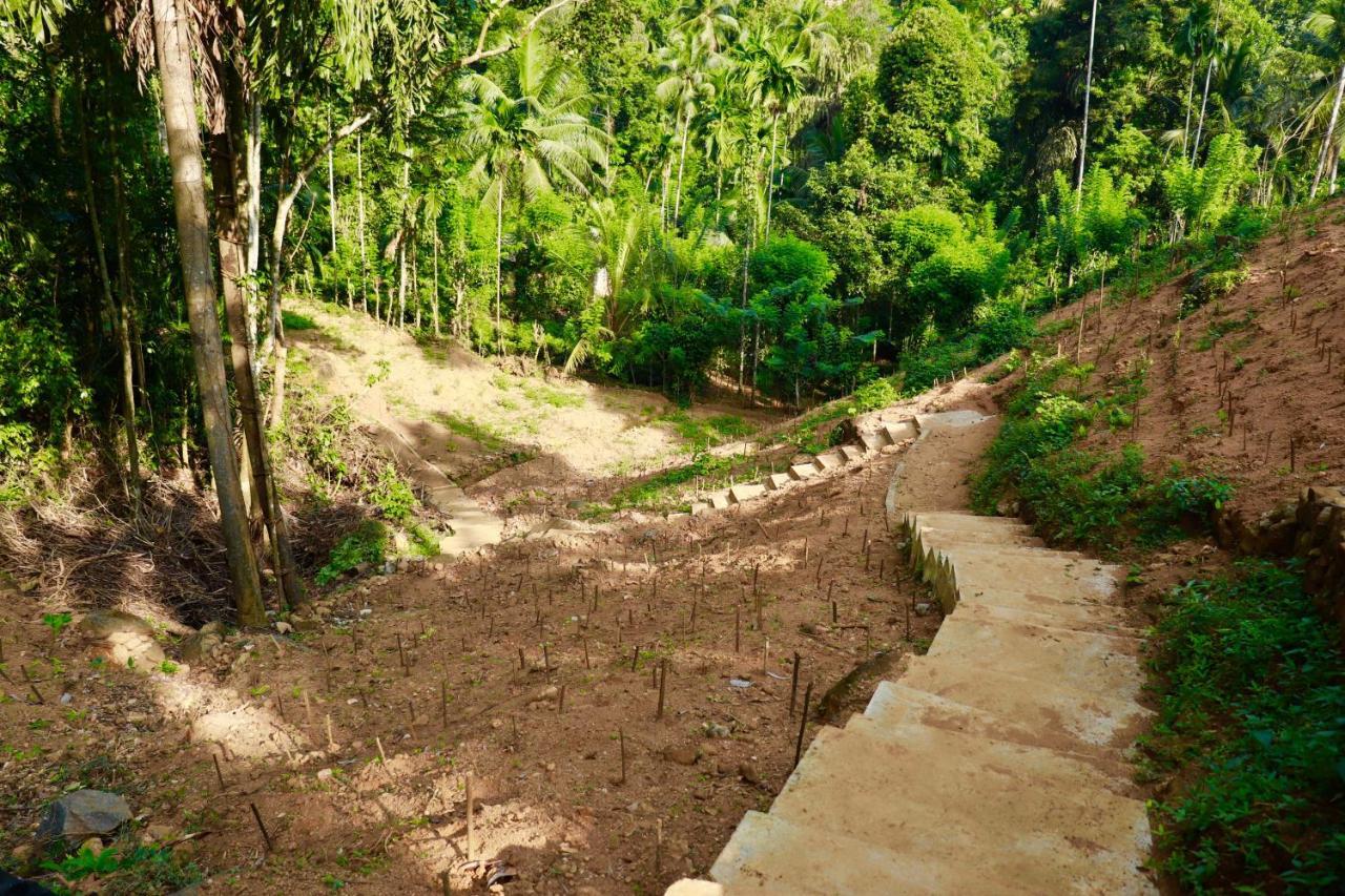Paradise Eco Garden Kitulgala Extérieur photo